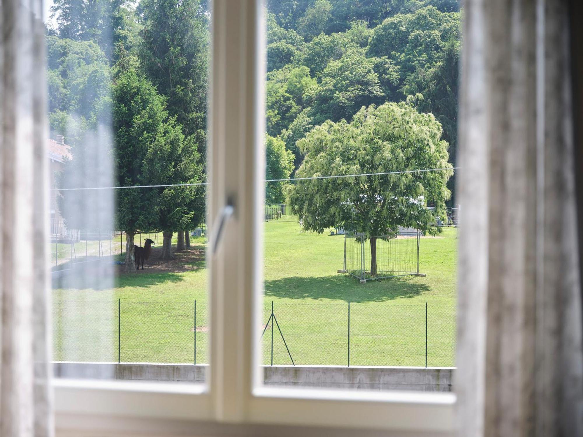 Casa Ierardi - Appartamento Arona Bellavista エクステリア 写真
